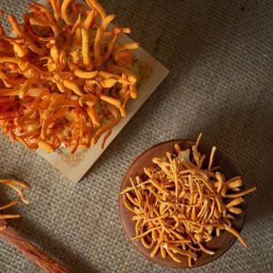 Sử Dụng Đông Trùng Hạ Thảo Thế Nào Cho Hiệu Quả